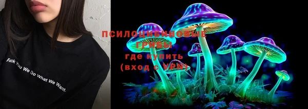 первитин Горнозаводск