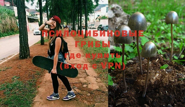 первитин Горнозаводск