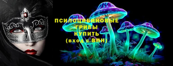 PSILOCYBIN Вяземский