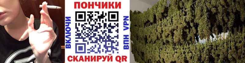 Марихуана VHQ блэк спрут Жердевка